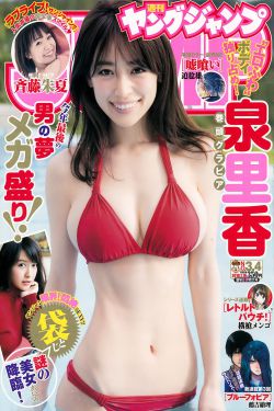 樱桃小丸子在线观看